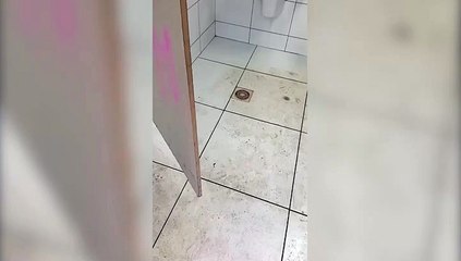 Muita sujeira: vídeo mostra falta de cuidado e educação em banheiro do Terminal Oeste
