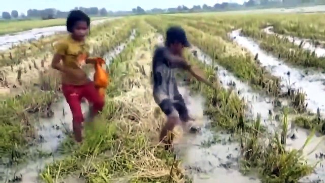 Cet enfant n'a peur de rien et surtout pas des serpents