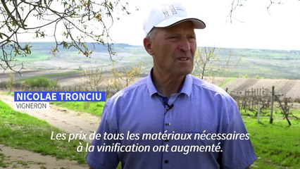 De la Russie à l'Europe, le pari gagnant des vignes moldaves