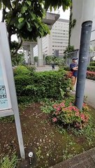 ジョナサン前 特設ステージ