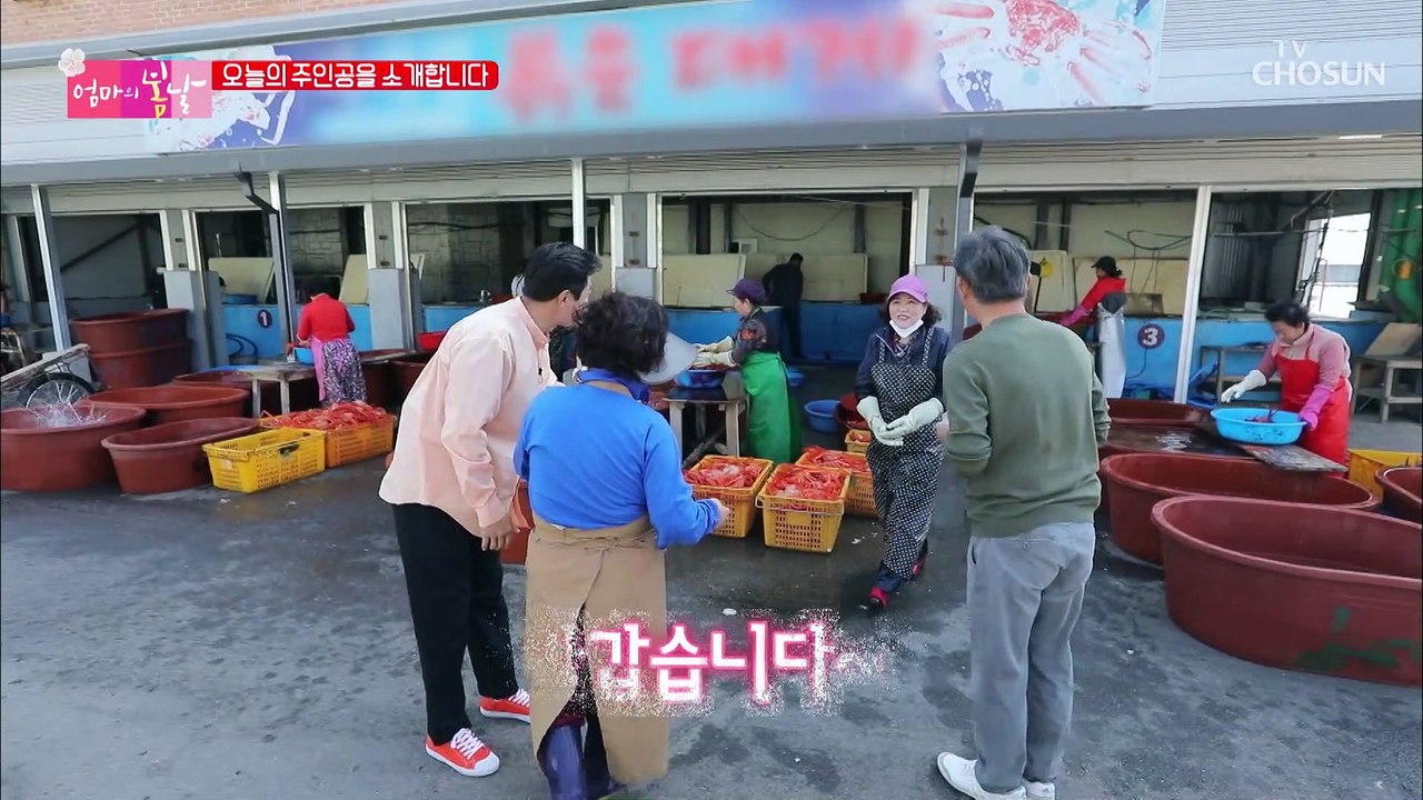 7년 전 얻은 행복을 이웃에게 베풀기 위해 다시 찾은 엄마의 봄날 TV CHOSUN...