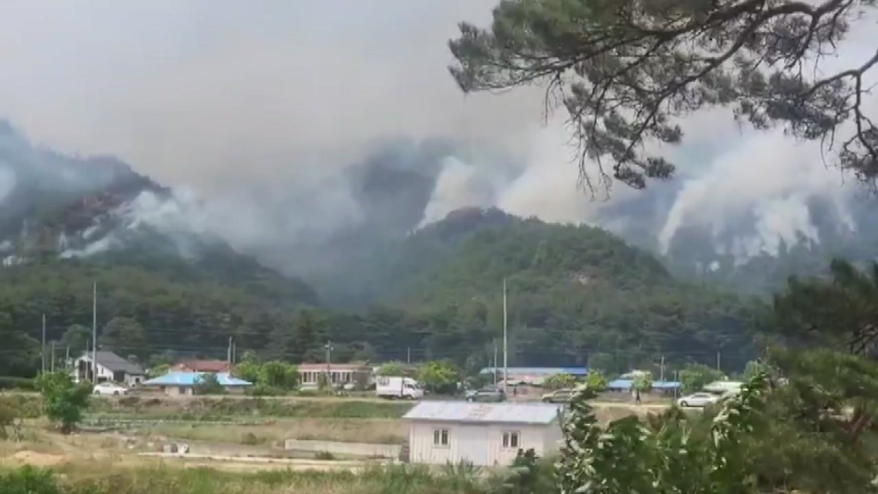 "주불 진화 완료"...막대한 피해 산불 예방책은 / YTN