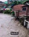 As consequências das fortes chuvas em Pernambuco. Veja as imagens