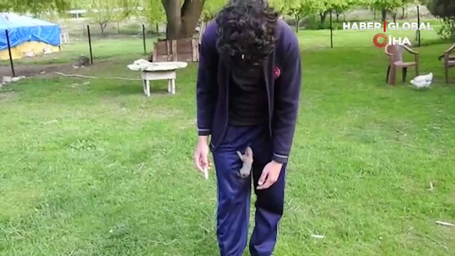 Şırıngayla beslediği sincap yavrusu yanından ayrılmıyor