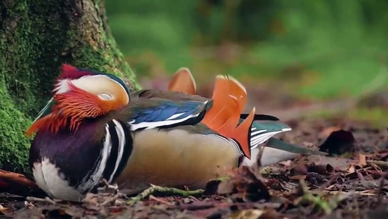 socialization|on the telephone tower|Relaxation Short Scenes|4K