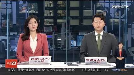 Video herunterladen: 윤대통령 특사단 다보스 포럼 참석…나경원 단장 맡아