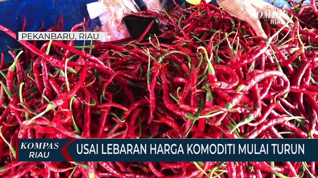 Usai Lebaran Harga Komoditi Mulai Turun