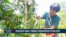 Berinovasi Demi Sesuap Nasi, Petani Kopi di OKU Selatan Budi Daya & Jual Rempah Vanili!