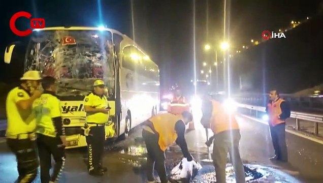 TEM’de bir minibüs ve iki yolcu otobüsü zincirleme kazaya karıştı: 4 yaralı