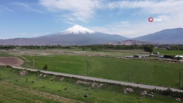 Iğdır Ovasından görüntülenen Ağrı Dağı göz kamaştırıyor