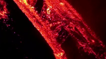 Etna yanardağı uykusundan uyandı!