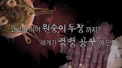 [영상] 원숭이 두창에 뚫린 유럽...예외적 확산에 전 세계 공포 / YTN