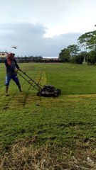 alat potong rumout modern otomatis