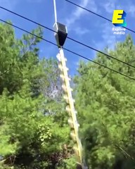 Une gigantesque scie héliportée pour élaguer les arbres près des lignes électriques