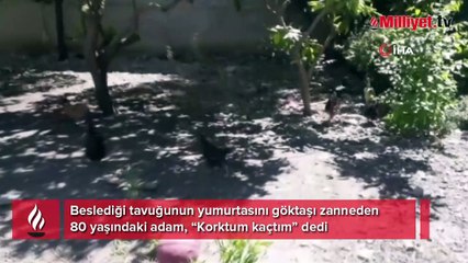 Yumurtayı göktaşı zanetti, panikledi