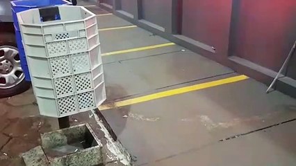 Guarda Municipal fecha ponto de venda de drogas no XIV de Novembro