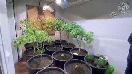 Uyuşturucu operasyonlarında yakalanan 50 zanlı tutuklandı