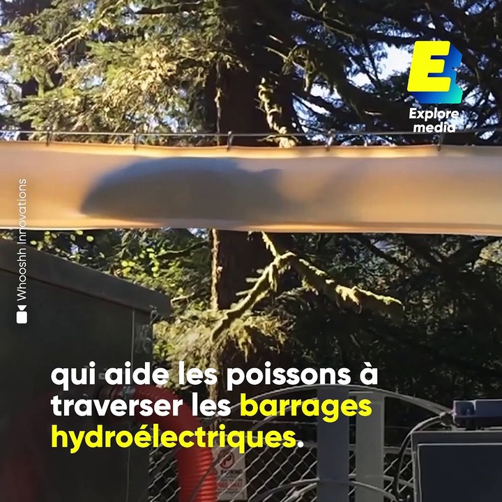 Ce canon à poisson aide les saumons à traverser les barrages