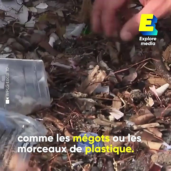 Ce robot permet d'enlever les déchets présents sur les plages