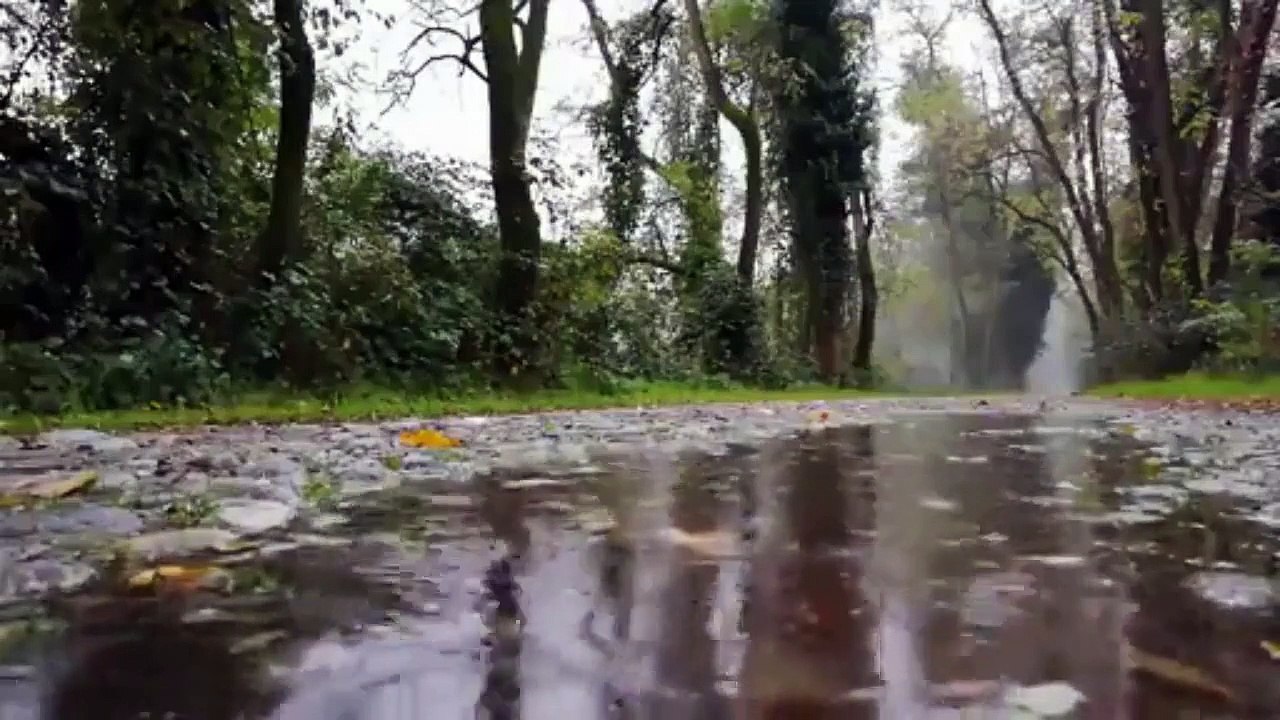 RELAXATION RAIN