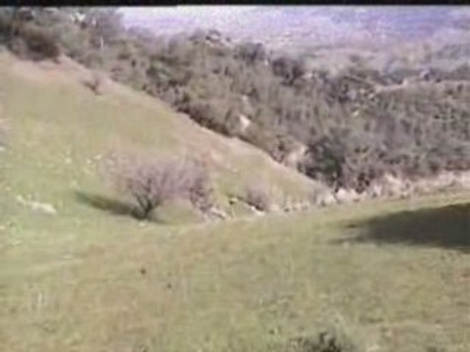 Film CEMRE