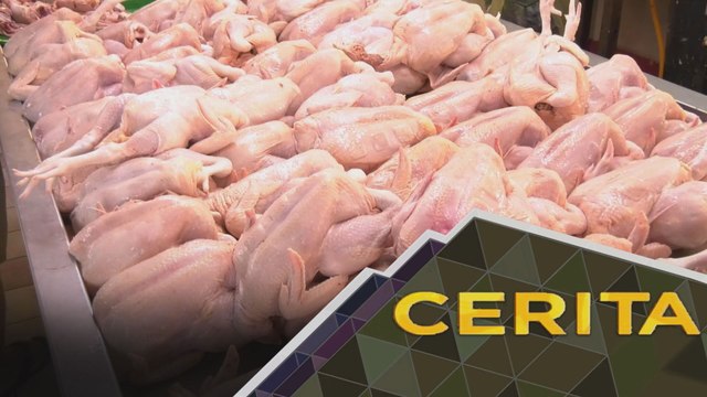 Cerita Sebalik Berita: Bekalan ayam di Johor masih terkawal?