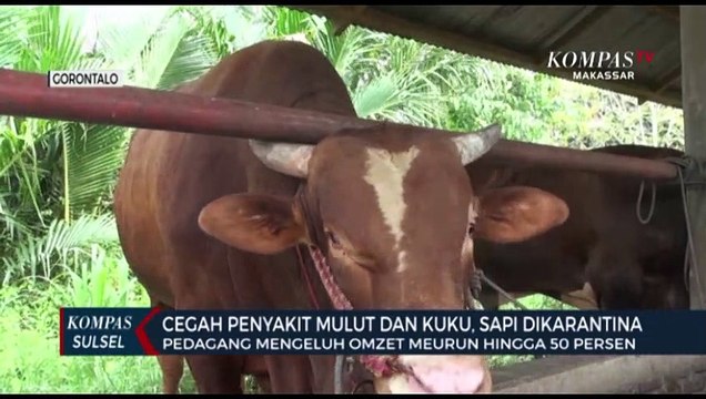 Dampak Penyakit Mulut Dan Kuku, Pedagang Mengeluh Omzet Menurun