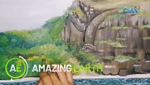 Amazing Earth: Myth of the petrified snake wall