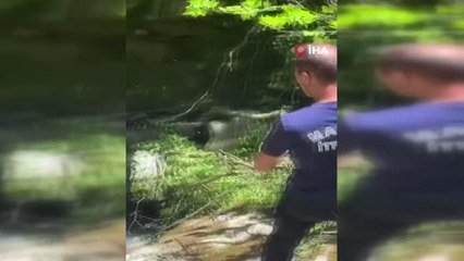 Dengesini kaybeden çiftçi dereye düştü