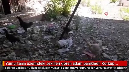 Kümesindeki yumurtayı gören adam panikledi: Korkup oğlumu çağırdım!