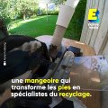 Cette mangeoire nourrit les oiseaux en échange de déchets à recycler