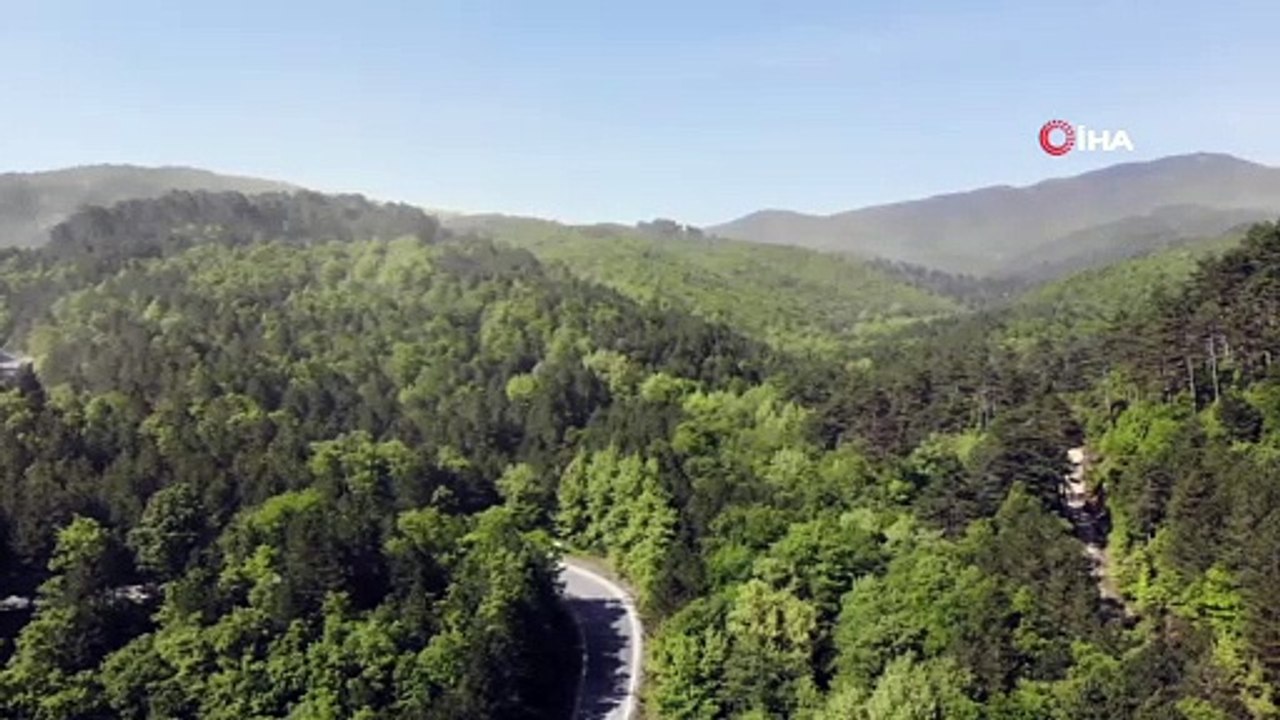 Türkiye'nin cennet köşesi Kazdağları'nda polen fırtınası