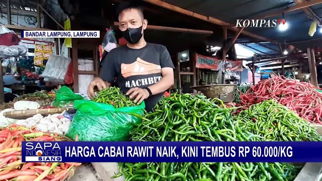 Harga Cabai Rawit Melonjak, Kini Capai Rp 60.000 per Kilogramnya!