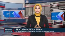 Senjata Makan Tuan, Petani Tewas Tersengat Listrik Jebakan Tikus