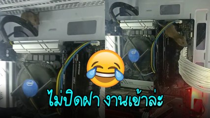 หนูมันร้าย ! ก็ว่าทำไมคอมพ์ติด ๆ ดับ ๆ เจอเข้าแบบนี้เตรียมทำรังแล้วสินะ