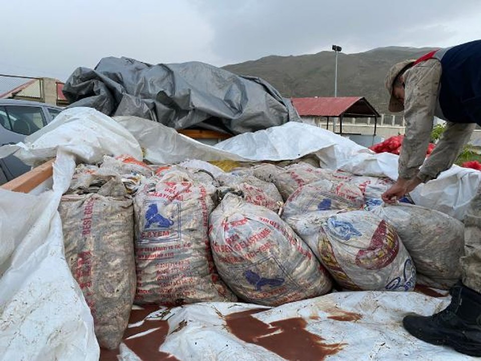 VAN'DA KAÇAK AVLANAN 11 TON İNCİ KEFALİ ELE GEÇİRDİ