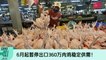 《988新闻线》2022年5月23日 ｜ 內阁：6月起暂停出口肉鸡稳定供需！