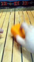 Satisfying no music video ll satisfy sound that claim your sleep ll