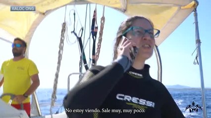 El extraordinario rescate de una ballena en Mallorca