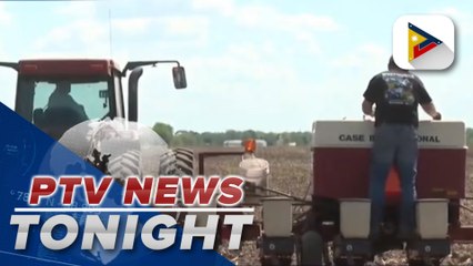 Grain prices soar as Ukraine war drags on