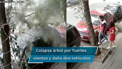 Pareja se salva de ser aplastada por un árbol, tras fuertes vientos en la CDMX