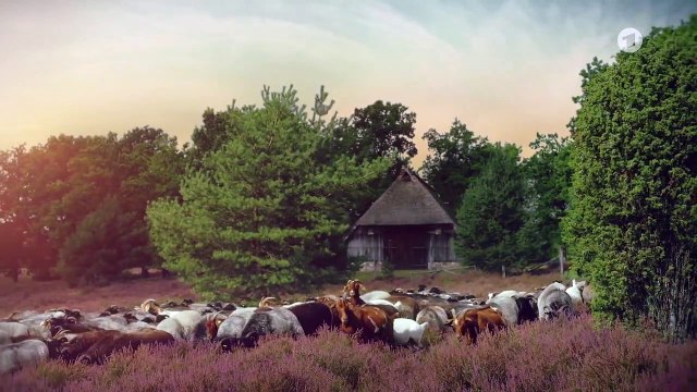 Rote Rosen 3567 folge