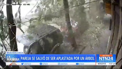 Pareja se salvó de ser aplastada por un árbol