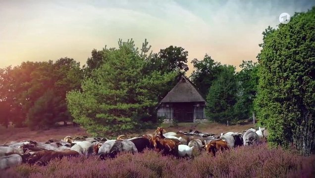 Rote Rosen 3567 folge