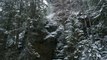 56.Okanagan Winter Forest - Snowfall 4K - Free HD Stock Footage - No Copyright