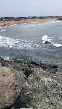 Un prof de surf sauve deux enfants de la noyade à Anglet (Côte Basque)