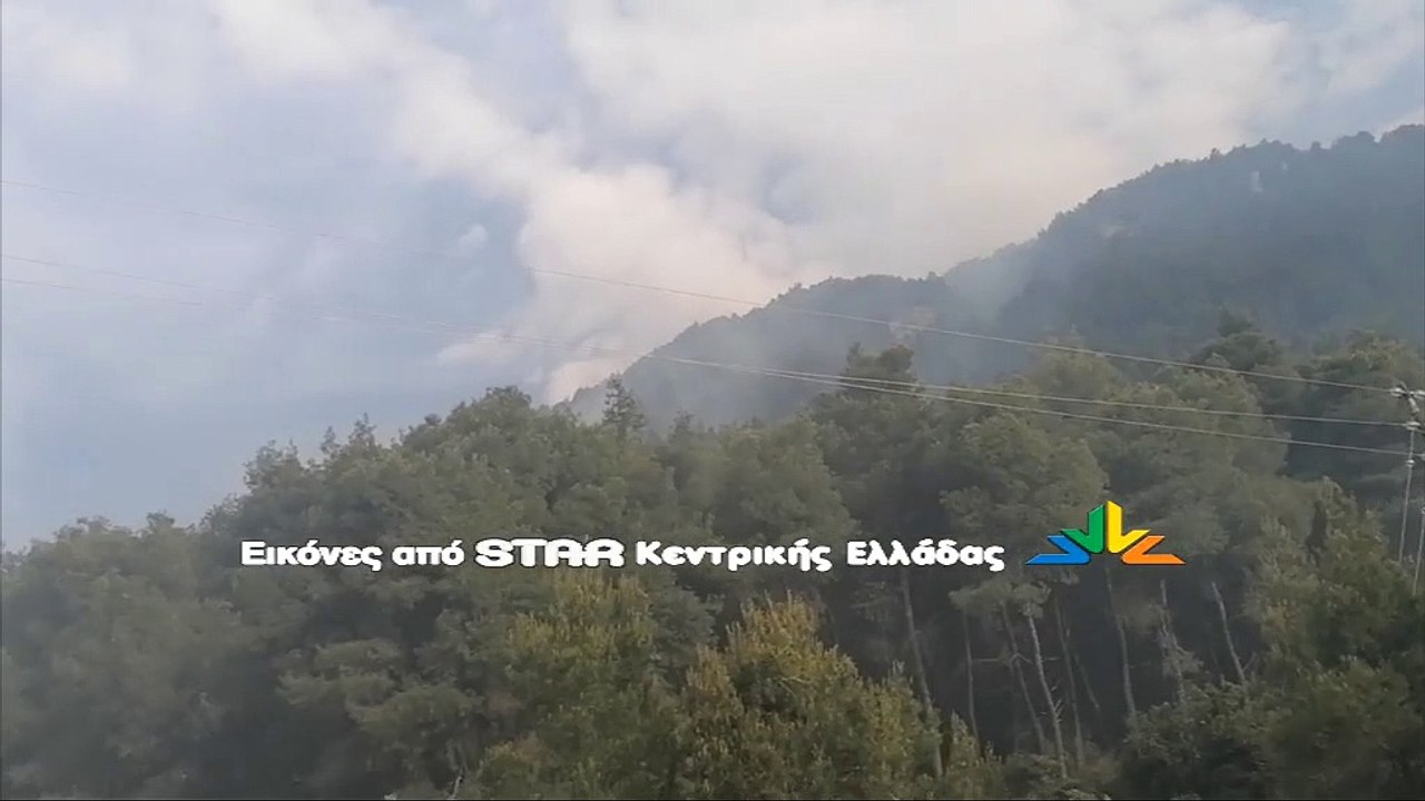 Επιχείρηση της Πυροσβεστικής σε δασική έκταση σ...