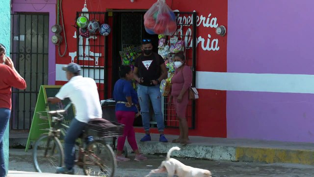 Defraudadores ofrecen tramitar licencias municipales en media hora | CPS Noticias Puerto Vallarta