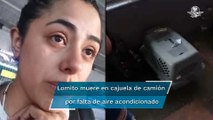 Muere perrito en viaje de Poza Rica a CDMX; denuncian a línea de autobuses por presunta negligencia
