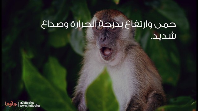 ما هو جدري القرود وهل هناك علاج ولقاح لجدري القردة